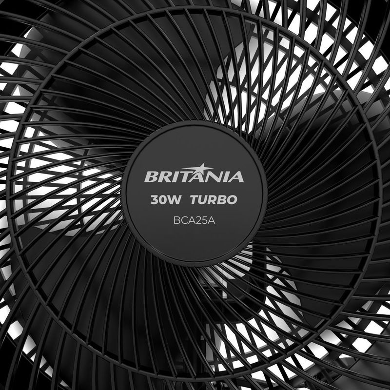 BCA25A_15.jpg