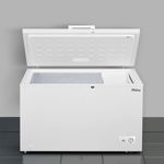 Freezer-Horizontal-PFH335B_3.jpg